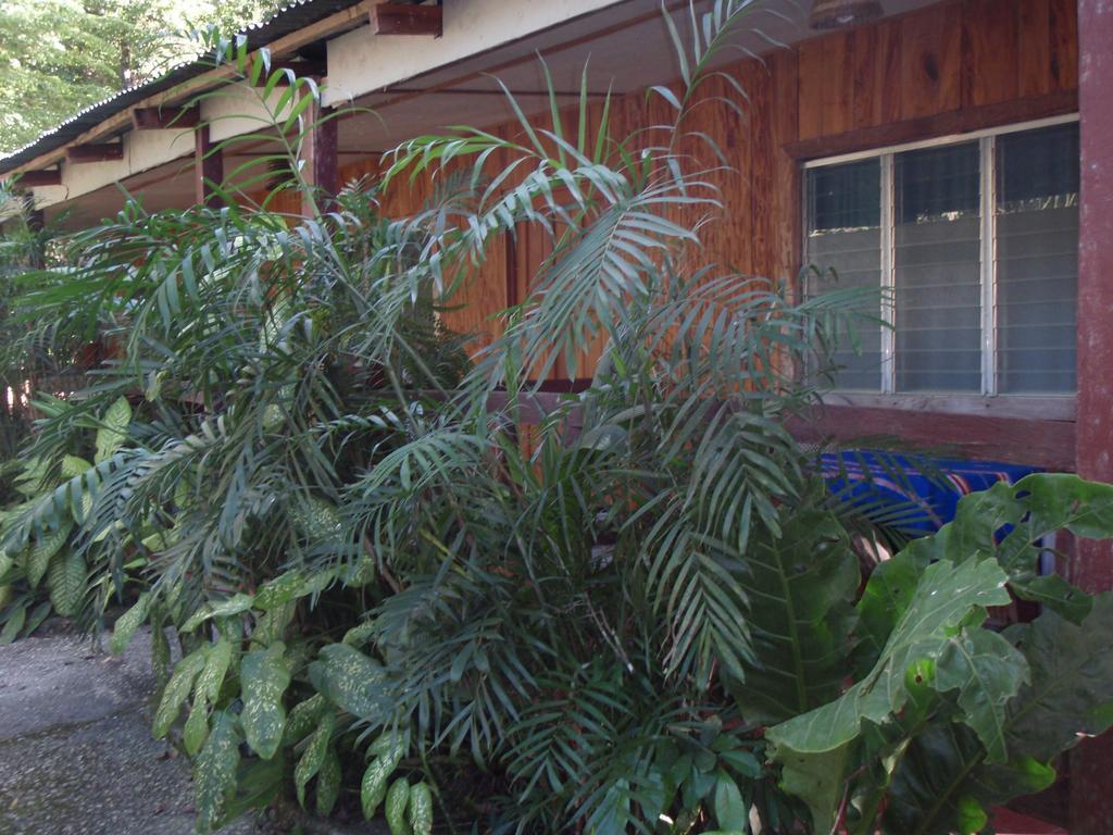 Guest house Posada Ixchel El Remate Quarto foto