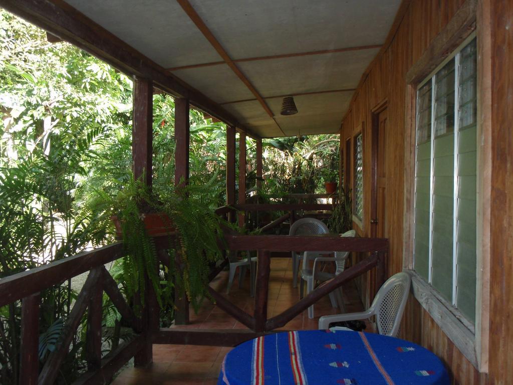 Guest house Posada Ixchel El Remate Quarto foto