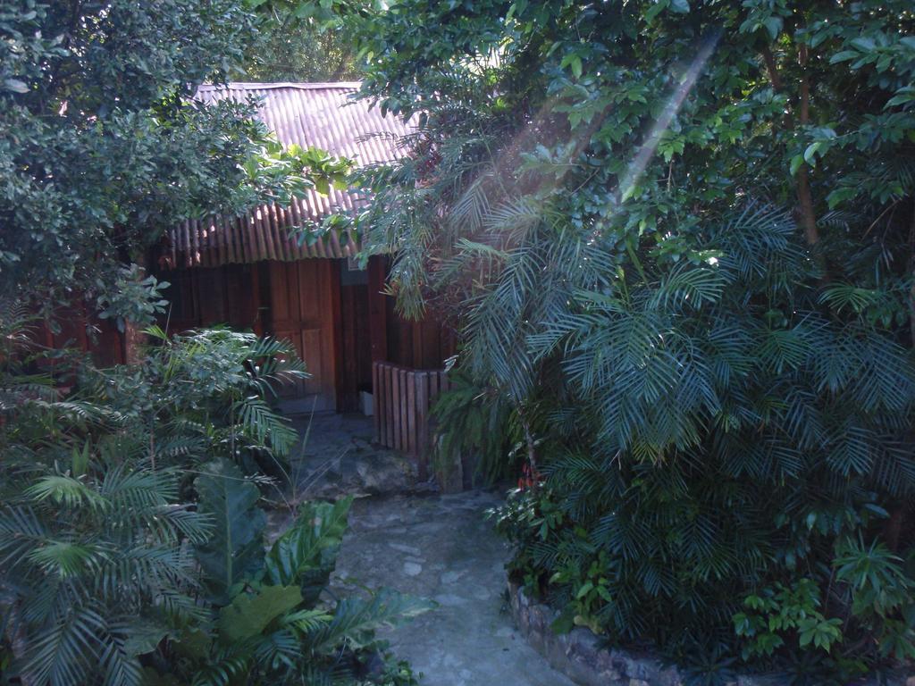 Guest house Posada Ixchel El Remate Exterior foto